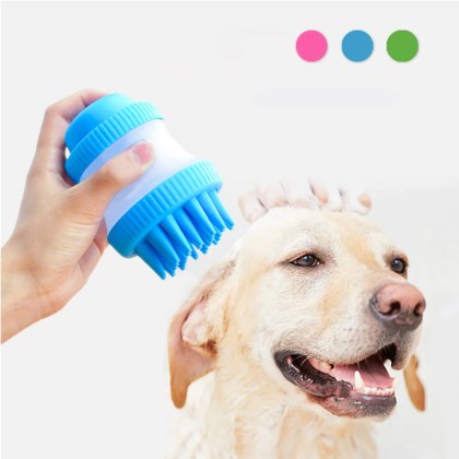 cleaning dog